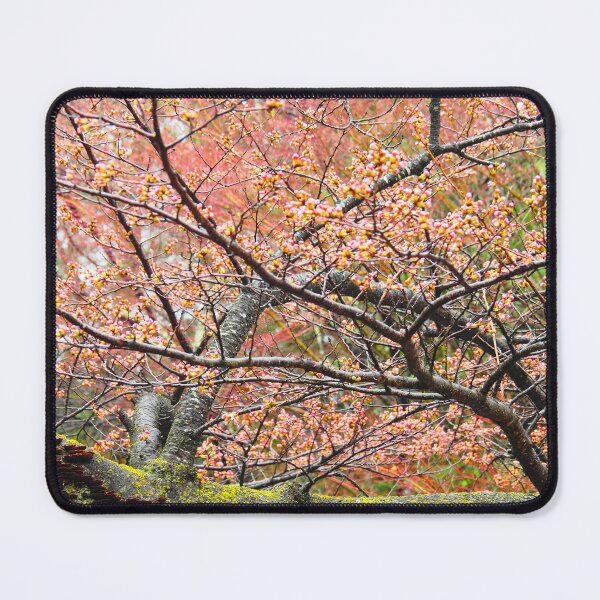 Item preview, Cherry blossoms designed and sold by swan2sky.