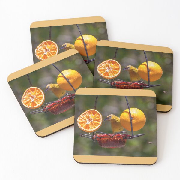 Item preview, Juvenile Oriole Enjoying Oranges and Jelly designed and sold by CarolM.