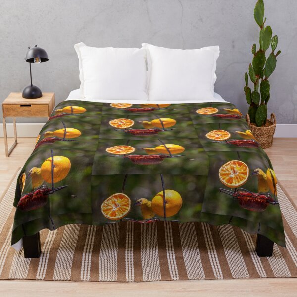 Item preview, Juvenile Oriole Enjoying Oranges and Jelly designed and sold by CarolM.