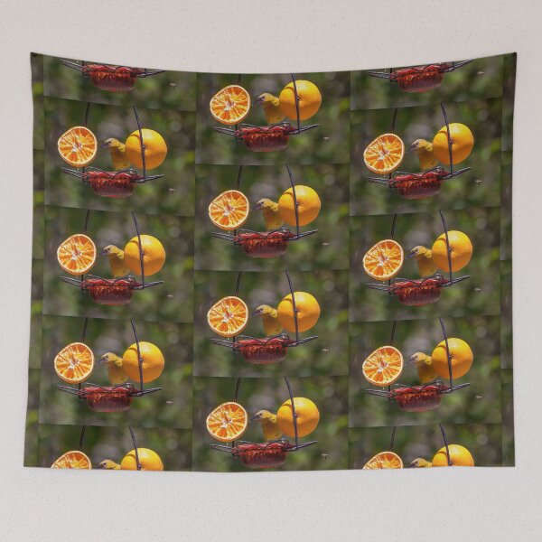 Item preview, Juvenile Oriole Enjoying Oranges and Jelly designed and sold by CarolM.