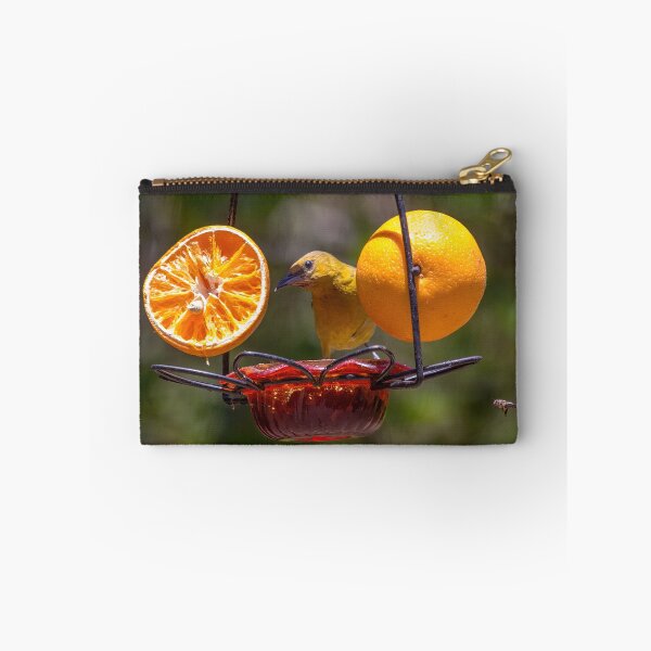 Item preview, Juvenile Oriole Enjoying Oranges and Jelly designed and sold by CarolM.