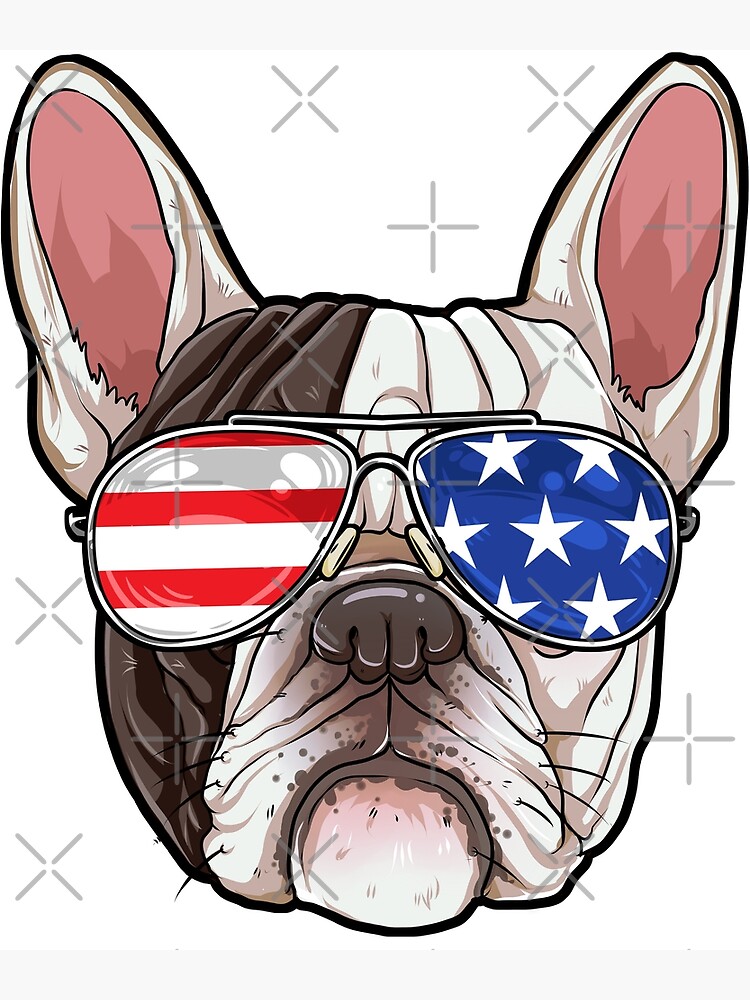 Pug American Flag Sunglasses 4th of July Dog Puppy USA Gifts