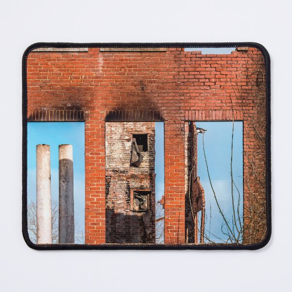 Item preview, Empty Windows designed and sold by Jim Love.