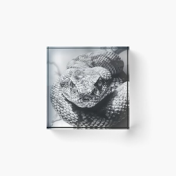Item preview, Black and White Snake drawing designed and sold by Pencil-Art.