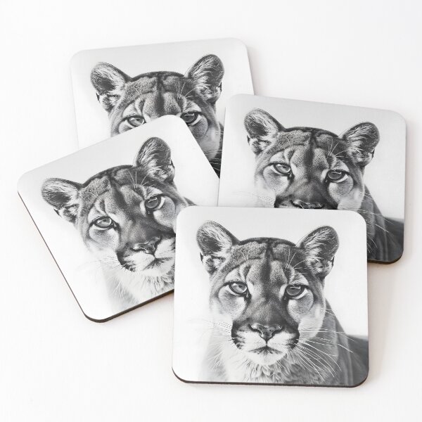 Item preview, Black and white pencil drawing of a Puma designed and sold by Pencil-Art.