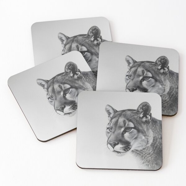 Item preview, Black and white pencil drawing of a Puma designed and sold by Pencil-Art.