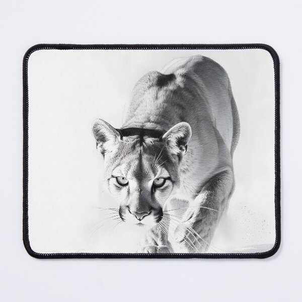 Item preview, Black and white pencil drawing of a Puma designed and sold by Pencil-Art.