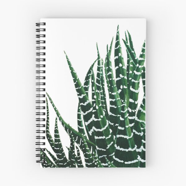 Item preview, Haworthia Attentuata | Zebra Haworthia | Haworthiopsis Botanical Illustration Plant Only designed and sold by Jennifer Walsh Design.