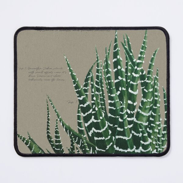Item preview, Haworthia Attentuata | Zebra Haworthia | Haworthiopsis Botanical Illustration designed and sold by Jennifer Walsh Design.