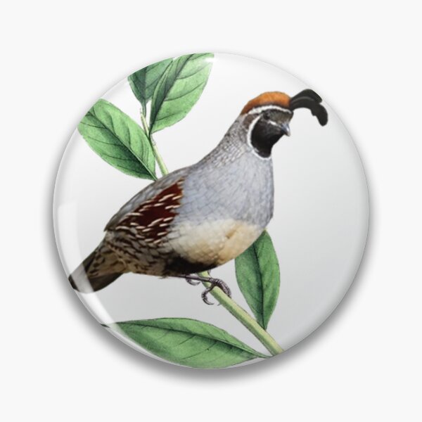 Item preview, bird quail  designed and sold by thatam.