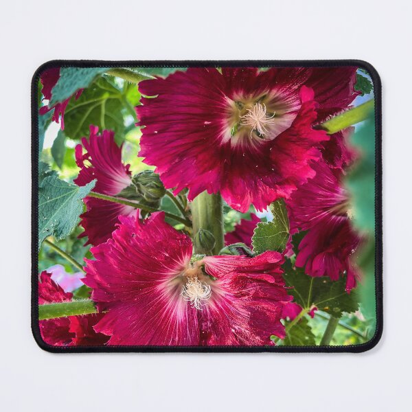 Item preview, Hollyhock in Red designed and sold by Douglas E. Welch Design and Photography.