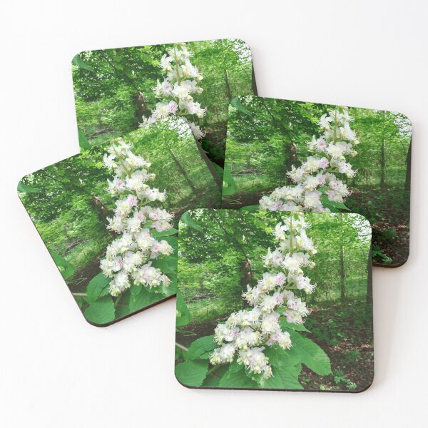 Item preview, Horse chestnut blossom photograph  designed and sold by esvb.