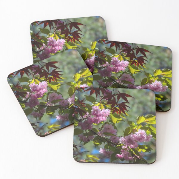 Item preview, Blossoms in the sun designed and sold by Cblifeisgood.