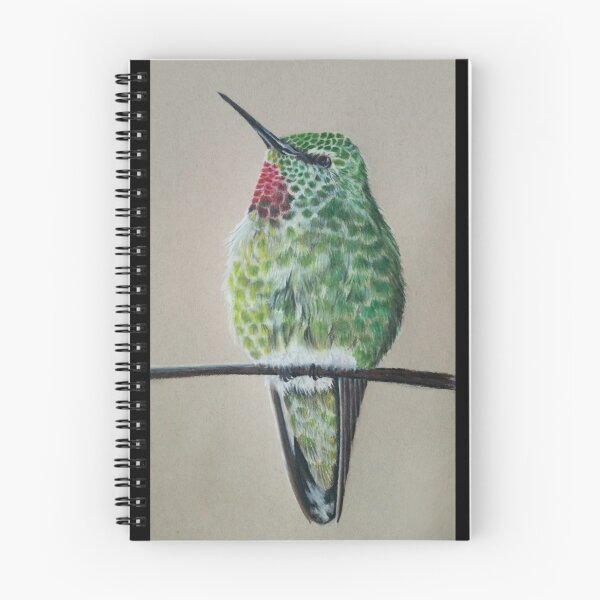 Item preview, Anna's Hummingbird designed and sold by adziegiel.
