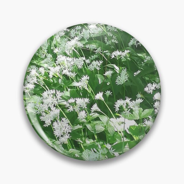 Item preview, Wild garlic photograph  designed and sold by esvb.