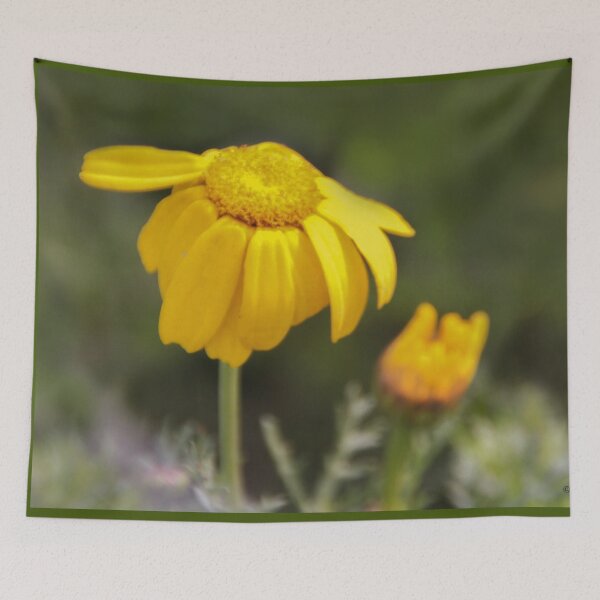 Item preview, Hazy Daisy designed and sold by heatherfriedman.