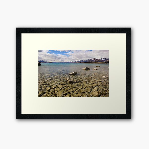 Shallow Waters Framed Art Print