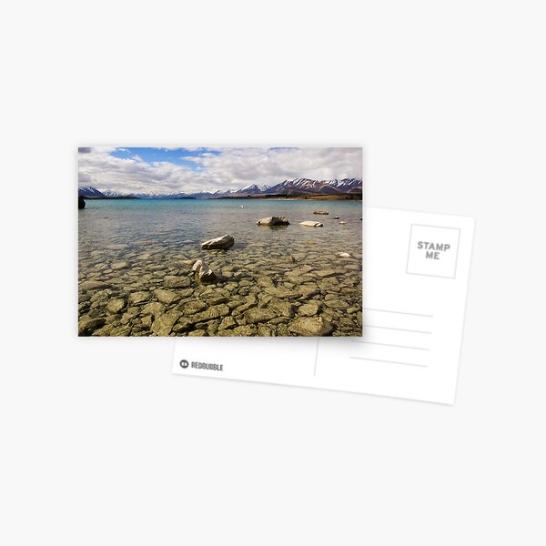 Shallow Waters Postcard