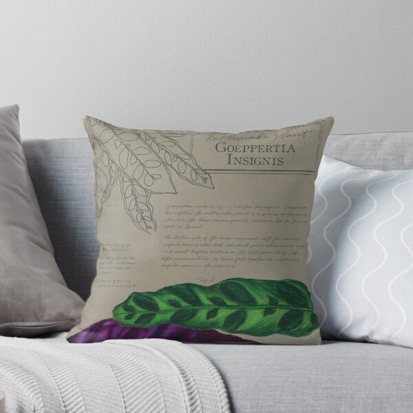 Item preview, Planta de serpiente de cascabel | Goeppertia Insignis | Ilustración botánica de Calathea | Plantas de interior designed and sold by Jennifer Walsh Design.