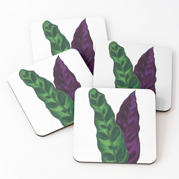 Item preview, Rattlesnake Plant Leaves | Goeppertia Insignis | Prayer Plant Purple Leaf | Botanical Illustration designed and sold by Jennifer Walsh Design.