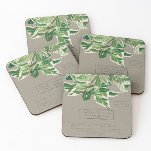 Item preview, Peperomia Clusiifolia 'Ginny' Botanical Illustration | Vintage Style on Paper designed and sold by Jennifer Walsh Design.