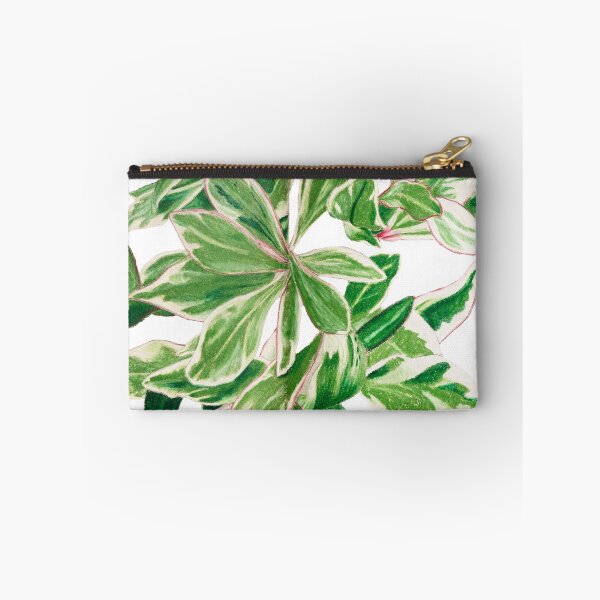 Item preview, Peperomia 'ginny' | Peperomia Clusiifolia Botanical Illustration | Vintage Style Illustration designed and sold by Jennifer Walsh Design.