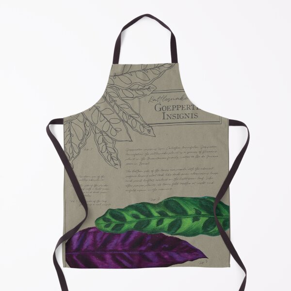 Item preview, Rattlesnake Plant | Goeppertia Insignis | Calathea Botanical Illustration | Houseplants designed and sold by Jennifer Walsh Design.