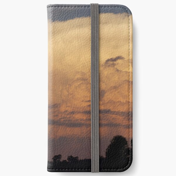 On the edge iPhone Wallet