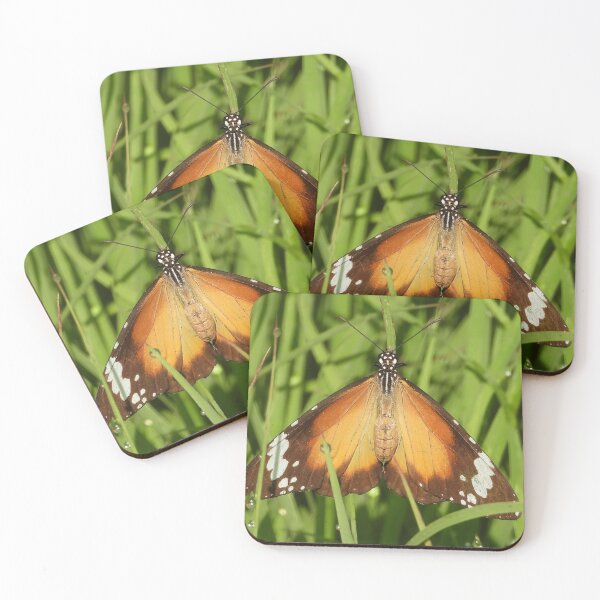 Item preview, Brown, orange and white butterfly designed and sold by Jenny  Dyer.