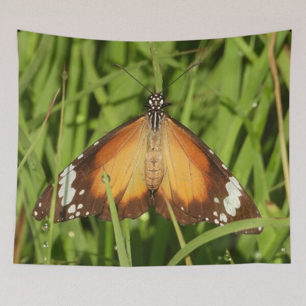 Item preview, Brown, orange and white butterfly designed and sold by Jenny  Dyer.