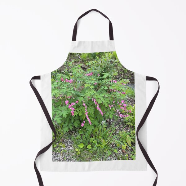 Item preview, Bleeding hearts designed and sold by SamiC06.