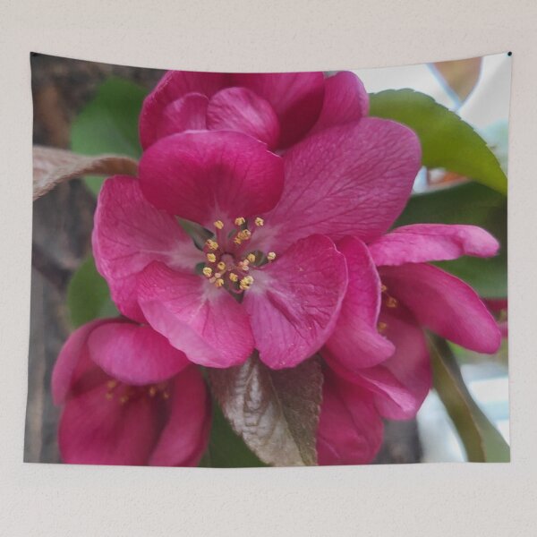 Artikelvorschau, Fuchsia Farbe Blume in voller Blüte entworfen und verkauft von WhiteSoftPetals.