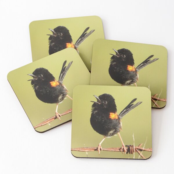 Item preview, Red-backed fairy wren singing. designed and sold by Jenny  Dyer.