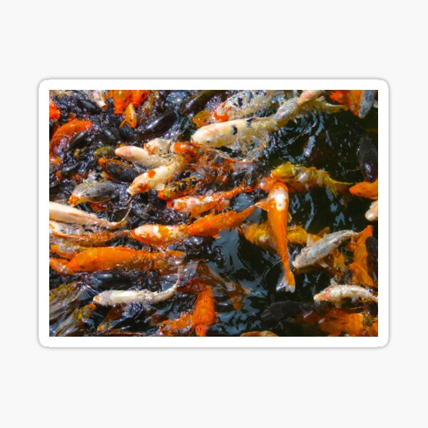 Item preview, Something's Fishy - China Baomo Garden - Guangzhou, China designed and sold by exploramum.