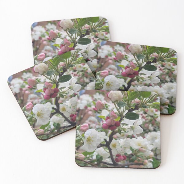 Artikelvorschau, Rosa und weiße Blumen blühen entworfen und verkauft von WhiteSoftPetals.
