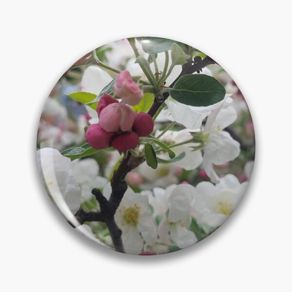 Artikelvorschau, Rosa und weiße Blumen blühen entworfen und verkauft von WhiteSoftPetals.