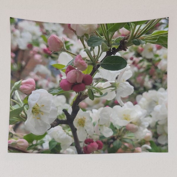 Artikelvorschau, Rosa und weiße Blumen blühen entworfen und verkauft von WhiteSoftPetals.