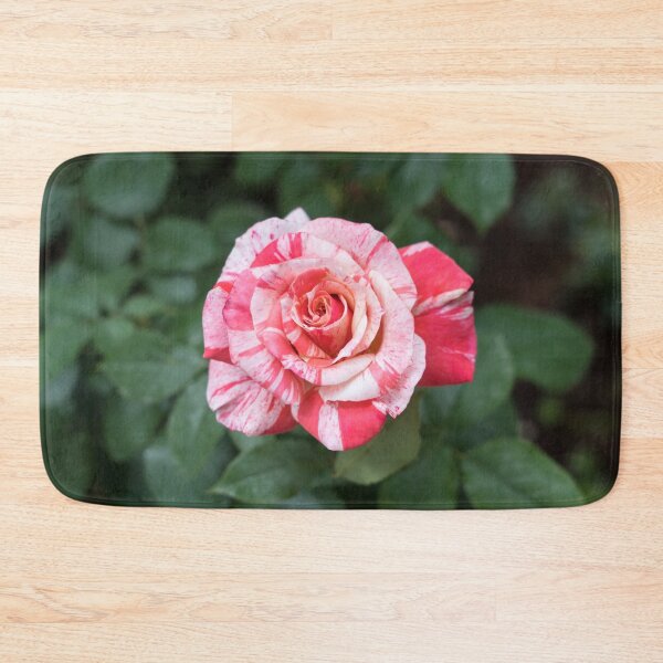 Item preview, Candy Cane Rose - A Wonderiffic Striped Bloom to Delight You designed and sold by Georgia Mizuleva.