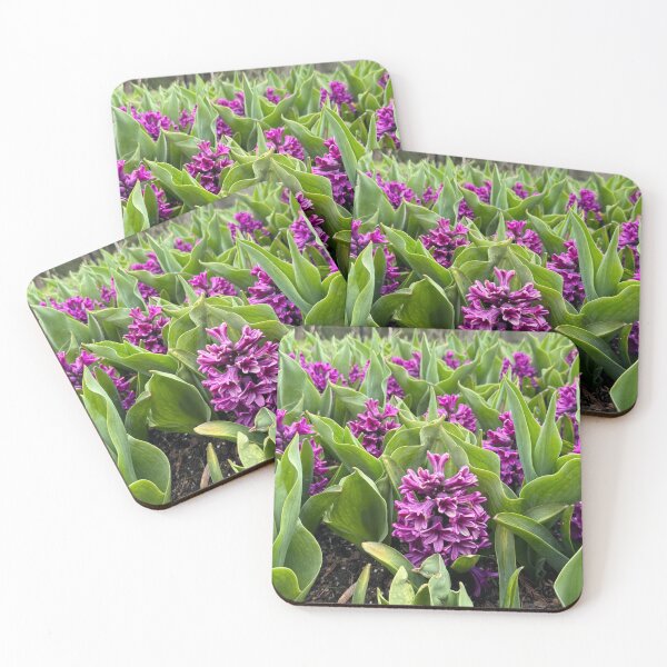 Item preview, Hyacinth Garden designed and sold by KvP423.