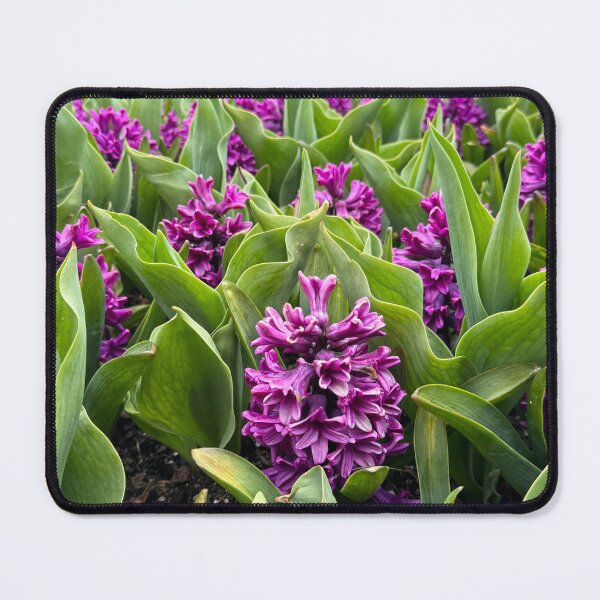 Item preview, Hyacinth Garden designed and sold by KvP423.