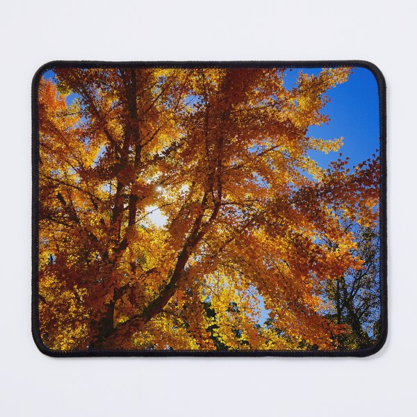 Item preview, Autumm light designed and sold by D-GaP.