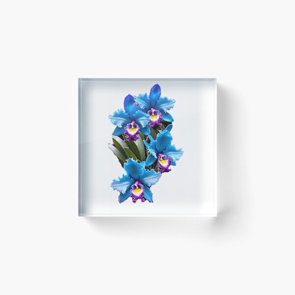 Item preview, BLUE CYMBIDIUM ORCHID  designed and sold by JoAnnHayden.