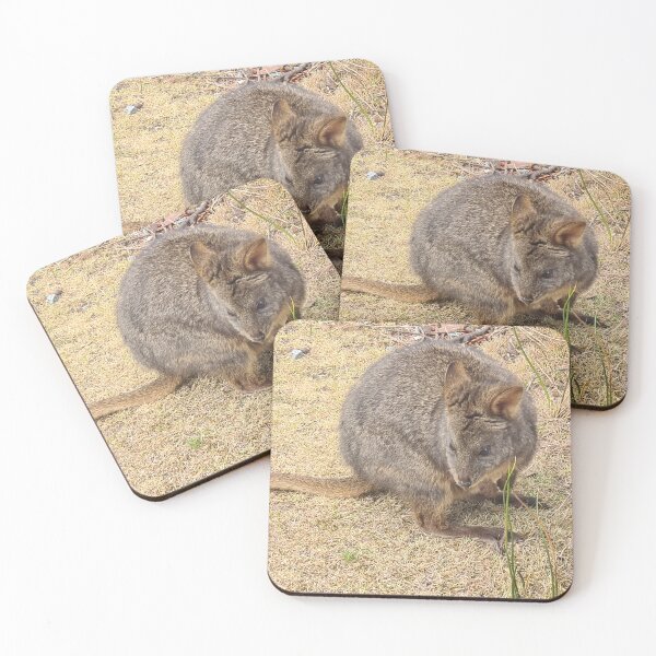 Item preview, Cute little Pademelon designed and sold by JulieMoss.