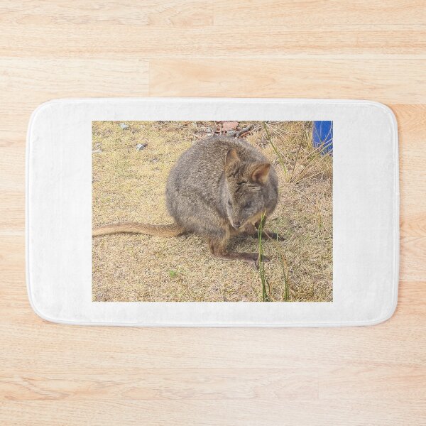 Item preview, Cute little Pademelon designed and sold by JulieMoss.