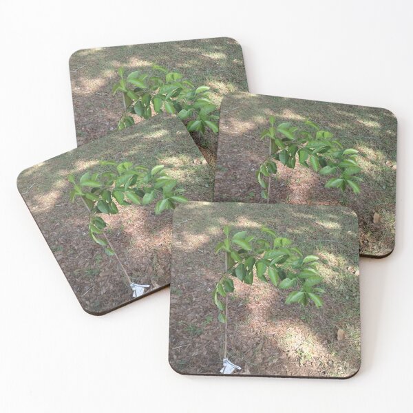 Item preview, Trees  designed and sold by Gilberth12.