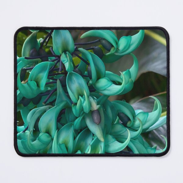 Item preview, Jade Vine designed and sold by Ruth Jolly.