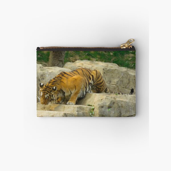 Item preview, Tiger On The Rocks designed and sold by exploramum.