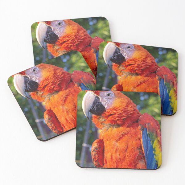 Item preview, WORLD WILDLIFE DAY designed and sold by likbatonboot.