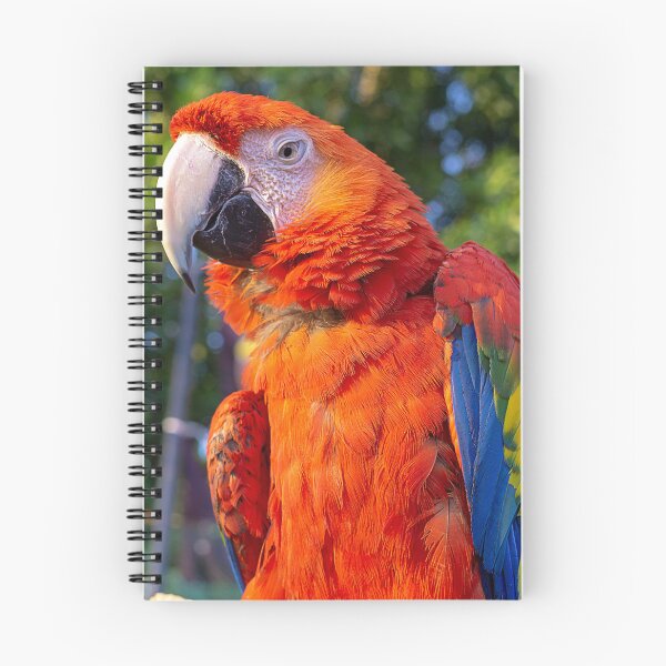 Item preview, WORLD WILDLIFE DAY designed and sold by likbatonboot.