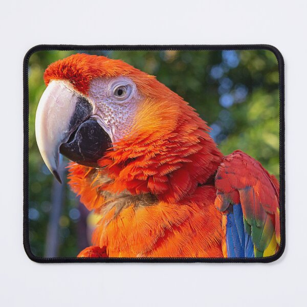 Item preview, WORLD WILDLIFE DAY designed and sold by likbatonboot.